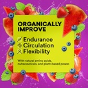 berry-melon-fizz-pre-workout-supplement-powder-15-packets-for-men-women-performance-energy-focus-joint-mobility-support-non-gmo-gluten-free-formula-04-berry-melon-fizz-pre-workout-supplement-powder---1-4.jpg