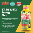mango-flavored-b12-energy-shots-sugar-free-carb-free-supplement-boost-focus-energy-for-7-hours-pack-of-24-1-93-fl-oz-03-mango-flavored-b12-energy-shots-sugar-free-carb-fr-3.jpg