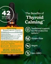 herb-pharm-thyroid-calming-liquid-herbal-formula-for-endocrine-system-support-1-oz-02-herb-pharm-thyroid-calming-liquid-herbal-formula-f-2.jpg