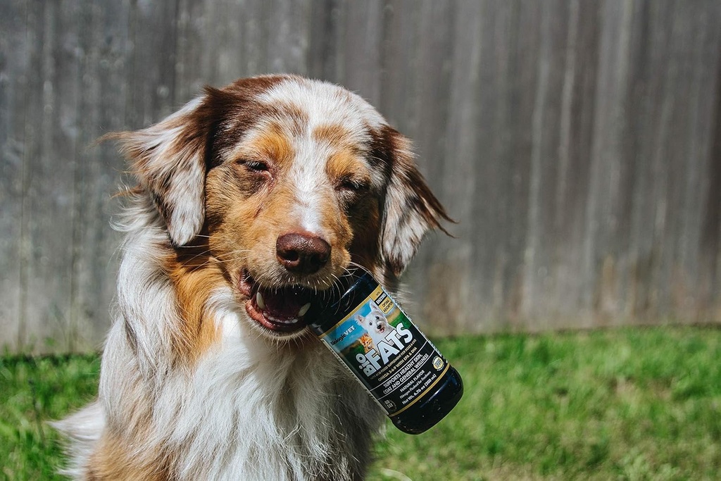 biologicvet-biofats-omega-3-6-9-fatty-acids-with-epa-dha-promotes-healthy-skin-and-coat-94-day-supply-for-30-lb-pets-12-oz-bottle-05-biologicvet-biofats-omega-3-6-9-fatty-acids-with-e-5.jpg