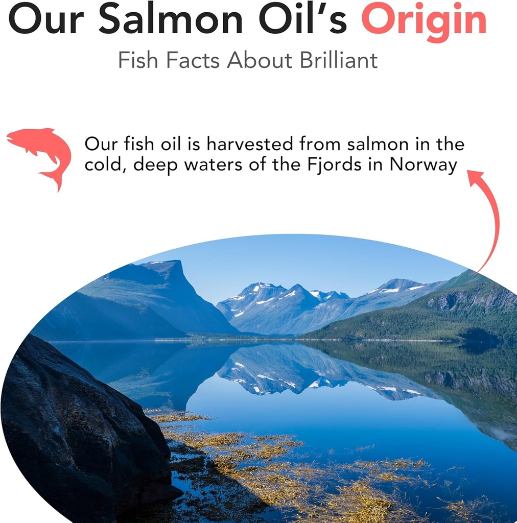 norwegian-salmon-oil-for-dogs-cats-omega-3-supplement-for-skin-coat-health-fish-oil-liquid-with-epa-dha-fatty-acids-relieves-shedding-allergies-itching-and-joint-pain-40-oz-05-norwegian-salmon-oil-for-dogs-cats---omega-3-suppl-5.jpg