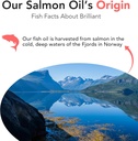 norwegian-salmon-oil-for-dogs-cats-omega-3-supplement-for-skin-coat-health-fish-oil-liquid-with-epa-dha-fatty-acids-relieves-shedding-allergies-itching-and-joint-pain-40-oz-05-norwegian-salmon-oil-for-dogs-cats---omega-3-suppl-5.jpg