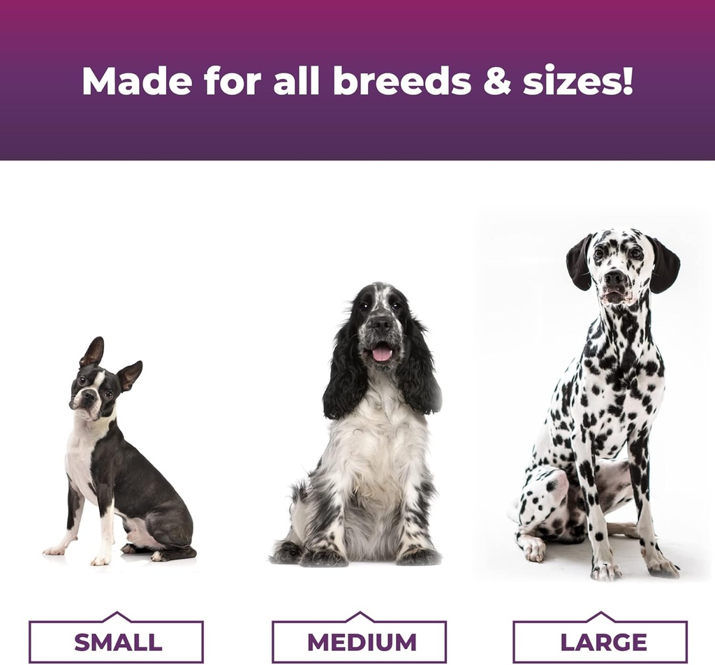 dog-skin-supplement-with-omega-3-6-9-fatty-acids-nutrients-for-itchy-skin-05-dog-skin-supplement-with-omega-3-6-9-fatty-acids-n-5.jpg