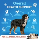 omega-3-fish-oil-liquid-supplement-for-dogs-skin-coat-defense-allergy-relief-high-epa-dha-joint-bone-health-16-fl-oz-02-omega-3-fish-oil-liquid-supplement-for-dogs---skin-2.jpg