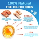 omega-3-fish-oil-liquid-supplement-for-dogs-skin-coat-defense-allergy-relief-high-epa-dha-joint-bone-health-16-fl-oz-03-omega-3-fish-oil-liquid-supplement-for-dogs---skin-3.jpg