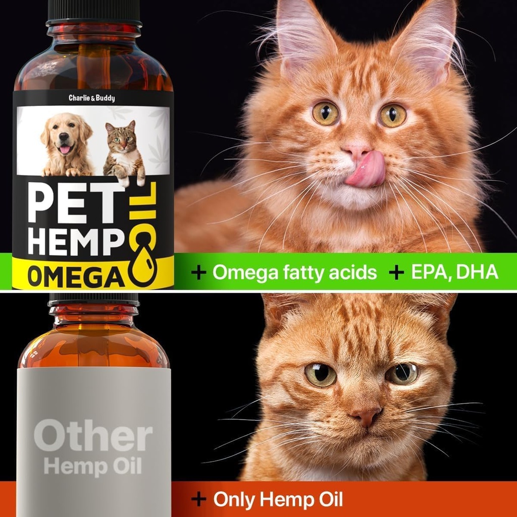 charlie-buddymetabolism-boosteroil-for-dogs-omega-3-6-9-for-skin-coat-anxiety-relief-and-joint-pain-support-04-charlie-buddymetabolism-boosteroil-for-dogs---omeg-4.jpg