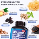 20-000mg-sea-moss-ashwagandha-black-seed-oil-ginger-capsules-60-vegetarian-capsules-organic-supplement-02-20000mg-sea-moss-ashwagandha-black-seed-oil-ginger-2.jpg