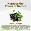 organic-black-currant-powder-1lb-high-antioxidant-ribes-nigrum-supplement-with-anthocyanin-03-organic-black-currant-powder-1lb---high-antioxidan-3.jpg