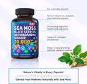 20-000mg-sea-moss-ashwagandha-black-seed-oil-ginger-capsules-60-vegetarian-capsules-organic-supplement-07-20000mg-sea-moss-ashwagandha-black-seed-oil-ginger-7.jpg