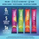 sugar-free-trevi™-electrolyte-powder-packets-with-himalayan-pink-salt-hydration-drink-mix-with-vitamins-minerals-berry-lemonade-flavor-28-ct-05-sugar-free-trevi-electrolyte-powder-packets-with-h-5.jpg
