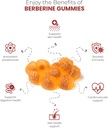 high-potency-berberine-gummies-sugar-free-metabolism-support-with-ceylon-cinnamon-chromium-magnesium-zinc-and-b12-60-count-03-high-potency-berberine-gummies---sugar-free-metabo-3.jpg