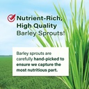 yamamoto-kanpoh-barley-grass-powder-japans-100-green-superfood-for-health-vitality-rich-in-vitamins-minerals-non-gmo-vegan-44-sachet-04-yamamoto-kanpoh-barley-grass-powder-japans-100-gre-4.jpg