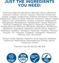 beam-minerals-travel-pack-electrolyte-micronutrient-support-on-the-go-supplement-trio-02-beam-minerals-travel-pack-electrolyte-micronutrien-2.jpg