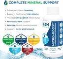 beam-minerals-travel-pack-electrolyte-micronutrient-support-on-the-go-supplement-trio-03-beam-minerals-travel-pack-electrolyte-micronutrien-3.jpg