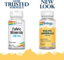 solaray-fulvic-minerals-100mg-capsules-with-himalayan-shilajit-for-digestive-skin-and-brain-health-30-count-03-solaray-fulvic-minerals-100mg-capsules-with-himala-3.jpg