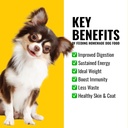 1lb-azestfor-veggie-flavor-dog-vitamins-minerals-powder-supplement-for-raw-homemade-food-05-1lb-azestfor-veggie-flavor-dog-vitamins-minerals-p-5.jpg