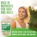 high-potency-horsetail-root-powder-for-hair-nails-and-bones-vegan-friendly-silica-rich-extract-8-oz-02-high-potency-horsetail-root-powder-for-hair-nails--2.jpg