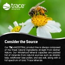 trace-minerals-wholefood-supplement-for-body-brain-health-wildflower-bee-pollen-atlantic-kelp-supports-nerve-function-digestive-health-180-capsules-05-trace-minerals-wholefood-supplement-for-body-brain-5.jpg