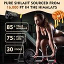 organic-himalayan-shilajit-honey-sticks-with-85-trace-minerals-energy-boost-immune-support-for-men-women-30-sticks-05-organic-himalayan-shilajit-honey-sticks-with-85-tr-5.jpg