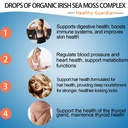 premium-vegan-sea-moss-black-seed-oil-ashwagandha-ginger-liquid-drops-extract-immunity-joint-support-4x-stronger-3000mg-03-premium-vegan-sea-moss-black-seed-oil-ashwagandha--3.jpg