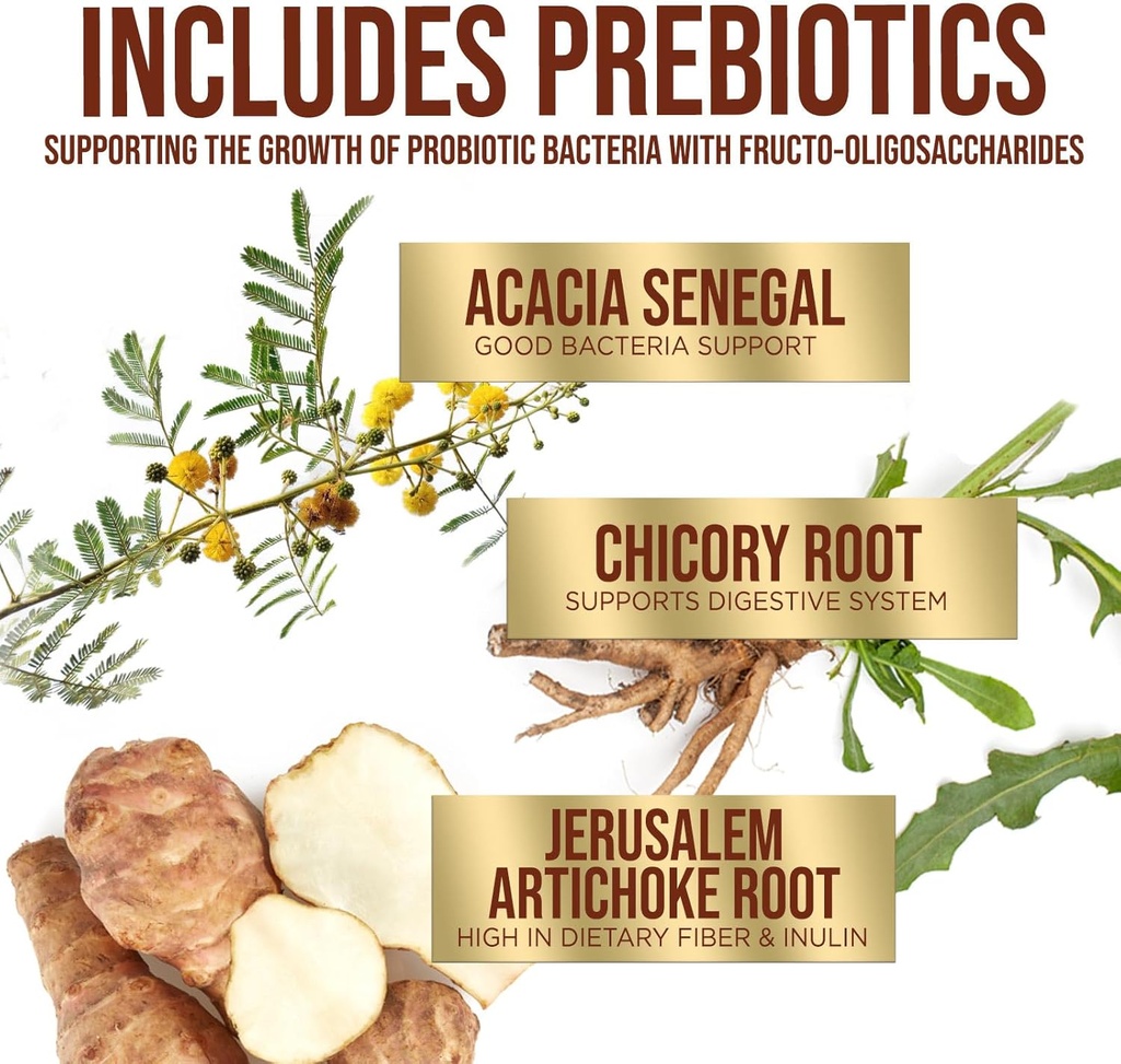60-billion-cfu-probiotic-with-prebiotics-for-digestive-gut-health-immune-support-occasional-constipation-relief-10-strains-shelf-stable-60-capsules-03-60-billion-cfu-probiotic-with-prebiotics-for-diges-3.jpg