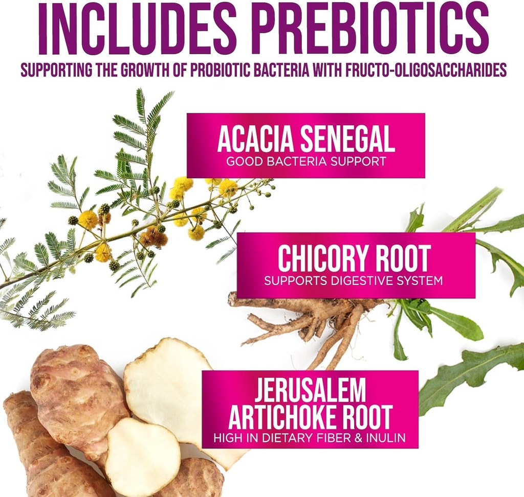 high-potency-probiotic-with-prebiotics-for-immune-gut-health-60-billion-cfu-10-strains-supports-digestion-constipation-bloating-180-capsules-06-high-potency-probiotic-with-prebiotics-for-immune--6.jpg