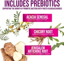 high-potency-probiotic-with-prebiotics-for-immune-gut-health-60-billion-cfu-10-strains-supports-digestion-constipation-bloating-180-capsules-06-high-potency-probiotic-with-prebiotics-for-immune--6.jpg