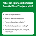 jigsaw-health-multi-mineral-essential-blend-90-capsules-for-optimal-health-and-wellness-06-jigsaw-health-multi-mineral-essential-blend---90-c-6.jpg