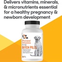 pregnant-dog-prenatal-vitamins-45-tablets-by-lots-of-love-pet-products-04-pregnant-dog-prenatal-vitamins---45-tablets-by-lot-4.jpg