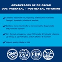 2in1-dog-prenatal-and-postnatal-vitamins-with-folic-acid-omega-3-probiotics-90-tablets-05-2in1-dog-prenatal-and-postnatal-vitamins-with-foli-5.jpg