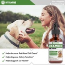 dog-vitamin-e-supplement-for-immune-support-1-fl-oz-05-dog-vitamin-e-supplement-for-immune-support---1-fl-5.jpg