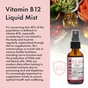 organic-vegan-vitamin-b12-liquid-mist-with-zinc-boost-5-000mcg-methylcobalamin-sugar-free-with-vitamin-c-and-elderberry-extract-non-gmo-fast-absorption-02-organic-vegan-vitamin-b12-liquid-mist-with-zinc-bo-2.jpg