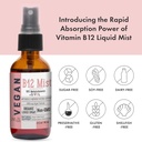 organic-vegan-vitamin-b12-liquid-mist-with-zinc-boost-5-000mcg-methylcobalamin-sugar-free-with-vitamin-c-and-elderberry-extract-non-gmo-fast-absorption-04-organic-vegan-vitamin-b12-liquid-mist-with-zinc-bo-4.jpg