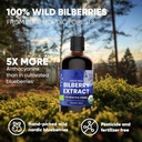 wild-bilberry-extract-liquid-supplement-3-bottles-x-3-4oz-high-bioavailability-anthocyanin-rich-european-blueberry-for-eye-health-alcohol-free-jungle-powders-05-wild-bilberry-extract-liquid-supplement---3-bottle-5.jpg