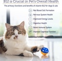 b12-vitamin-supplement-for-dogs-and-cats-supports-digestion-and-nervous-system-metabolic-health-4oz-bottle-03-b12-vitamin-supplement-for-dogs-and-cats---support-3.jpg