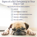 b12-vitamin-supplement-for-dogs-and-cats-supports-digestion-and-nervous-system-metabolic-health-4oz-bottle-05-b12-vitamin-supplement-for-dogs-and-cats---support-5.jpg