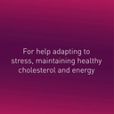 natural-factors-biocoenzymated-active-b-complex-capsules-60-servings-03-natural-factors-biocoenzymated-active-b-complex-ca-3.jpg