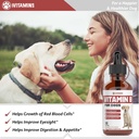 bacon-flavored-vitamin-b-complex-supplement-for-dogs-1-fl-oz-05-bacon-flavored-vitamin-b-complex-supplement-for-do-5.jpg