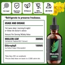 chlorophyll-mullein-leaf-extract-for-lung-cleanse-healthy-breathing-natural-tincture-drops-non-gmo-vegetarian-1-month-supply-02-chlorophyll-mullein-leaf-extract-for-lung-cleanse--2.jpg