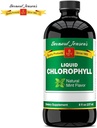 natural-chlorophyll-liquid-supplement-alkaline-ph-balance-blood-cleansing-16-fl-oz-02-natural-chlorophyll-liquid-supplement---alkaline-p-2.jpg