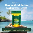 australian-biogenesis-organic-spirulina-chlorella-tablets-with-marine-plant-minerals-biodynamic-chlorophyll-rich-vegan-300-tablets-03-australian-biogenesis-organic-spirulina-chlorella--3.jpg
