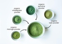 organic-supergreens-powder-blend-1-5lbs-of-kale-moringa-spirulina-wheatgrass-powders-non-gmo-vegan-antioxidant-rich-ideal-for-juices-smoothies-baking-06-organic-supergreens-powder-blend---15lbs-of-kale-m-6.jpg