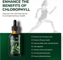 premium-voltzap-chlorophyll-liquid-drops-for-immune-support-energy-boost-digestive-health-natural-mint-flavor-vegan-supplement-2fl-oz-non-gmo-gluten-free-02-premium-voltzap-chlorophyll-liquid-drops-for-immun-2_fcabaaaa-c04b-44e4-8c96-470f0b91254a.jpg