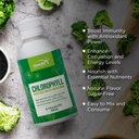 funat-chlorophyll-plus-liquid-drops-natural-mint-flavor-green-supplement-for-energy-wellness-nutrient-rich-formula-8-1-fl-oz-02-funat-chlorophyll-plus-liquid-drops---natural-mint-2.jpg