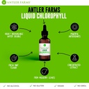 antler-farms-liquid-chlorophyll-drops-100-natural-concentrated-extract-immune-support-energy-boost-detox-2-oz-fresh-mint-flavor-60-servings-04-antler-farms-liquid-chlorophyll-drops---100-natura-4.jpg