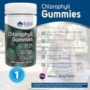 berry-flavored-trace-minerals-chlorophyll-gummies-100mg-promotes-digestive-immune-skin-health-natural-energy-cell-function-support-high-absorption-60-gummies-04-berry-flavored-trace-minerals-chlorophyll-gummies--4.jpg