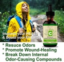 natural-chlorophyll-liquid-drops-for-water-by-hbi-labs-concentrated-single-dose-09-natural-chlorophyll-liquid-drops-for-water-by-hbi--9.jpg