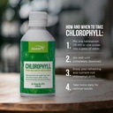 funat-chlorophyll-plus-liquid-drops-natural-mint-flavor-green-supplement-for-energy-wellness-nutrient-rich-formula-8-1-fl-oz-03-funat-chlorophyll-plus-liquid-drops---natural-mint-3.jpg