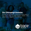 berry-flavored-trace-minerals-chlorophyll-gummies-100mg-promotes-digestive-immune-skin-health-natural-energy-cell-function-support-high-absorption-60-gummies-05-berry-flavored-trace-minerals-chlorophyll-gummies--5.jpg
