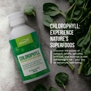 funat-chlorophyll-plus-liquid-drops-natural-mint-flavor-green-supplement-for-energy-wellness-nutrient-rich-formula-8-1-fl-oz-04-funat-chlorophyll-plus-liquid-drops---natural-mint-4.jpg